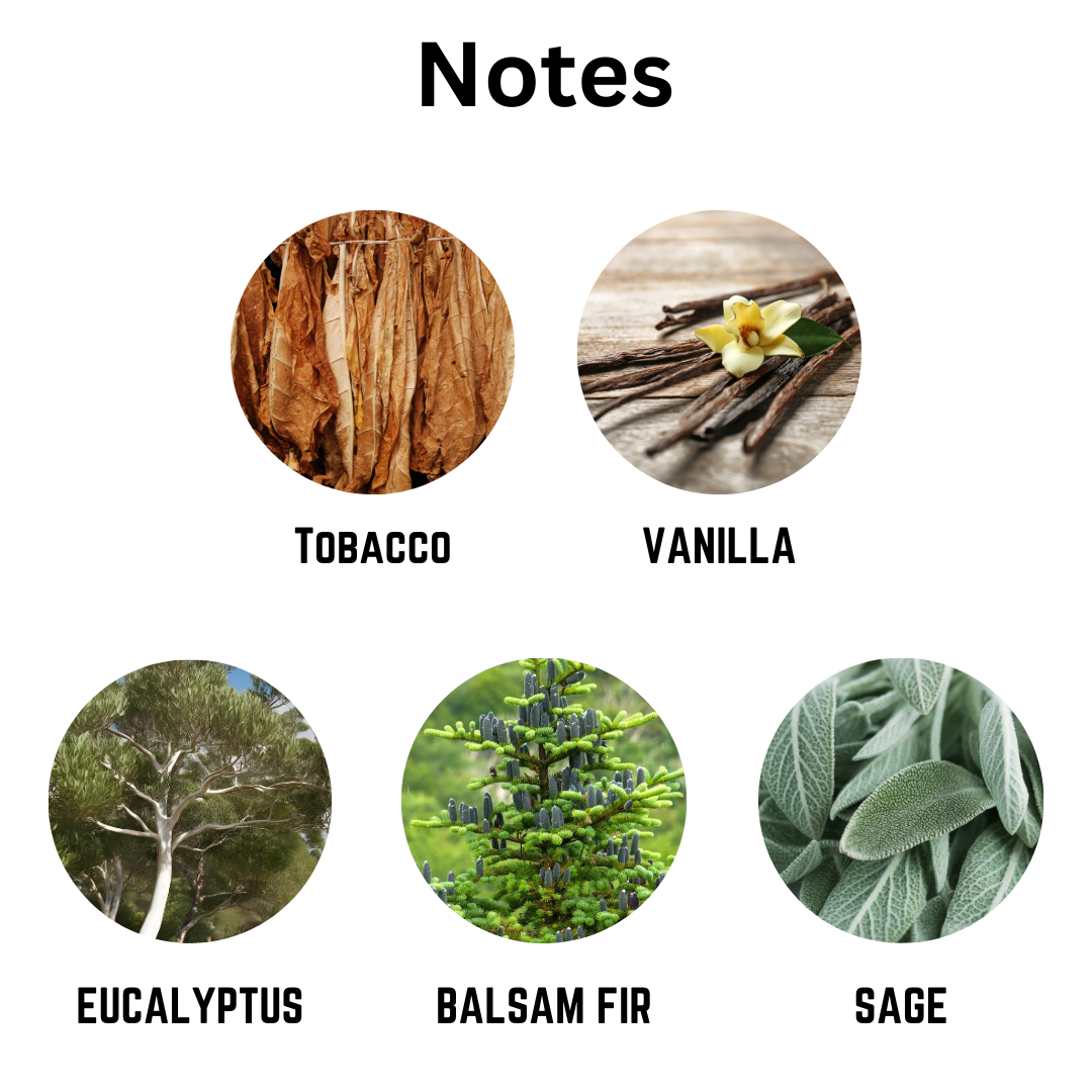 Gothic Fiction - Scented Candle