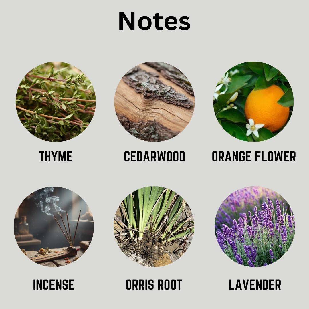 Collection of essential oils with corresponding images and names on a light gray background