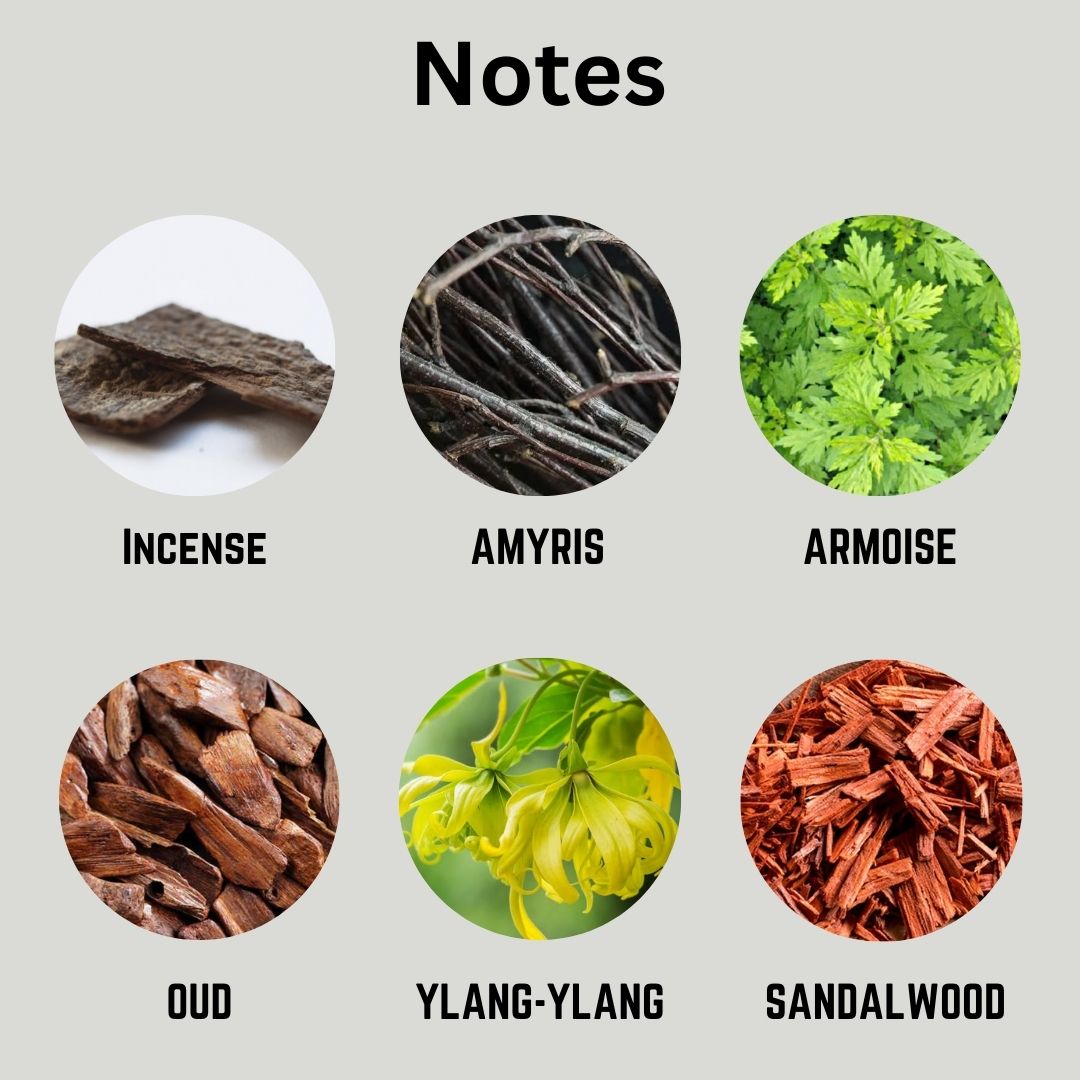 Illustrations of incense, amaryllis, armoise, oud, ylang-ylang, and sandalwood with labels on a gray background.