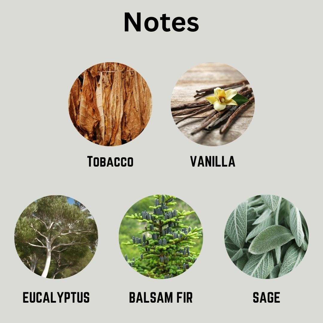 Illustrations of tobacco, vanilla, eucalyptus, balsam fir, and sage with labels on a gray background.