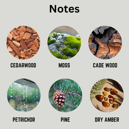 A product information graphic titled 'Notes' on a light gray background, showing six circular natural material samples with labeled names: Cedarwood, Moss, Cade Wood, Petrichor, Pine, and Dry Amber.