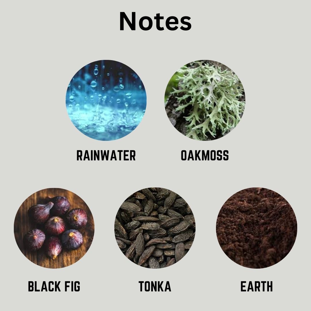 Southern Belle Notes