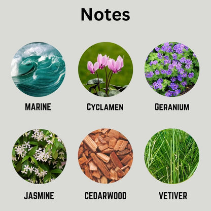 Static Blue Wax Melt Notes