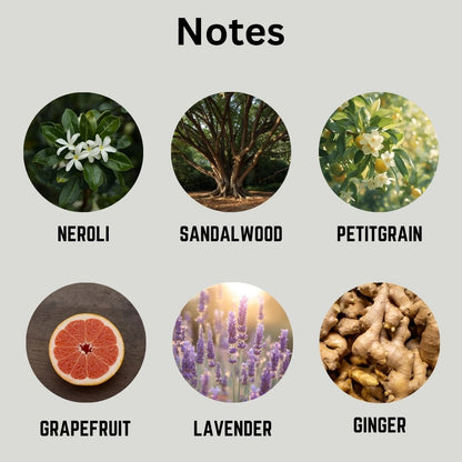 Illustrations of various essential oils with labels on a gray background