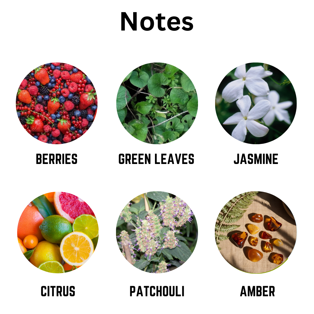 Witchwood Tales Scented Candle Notes