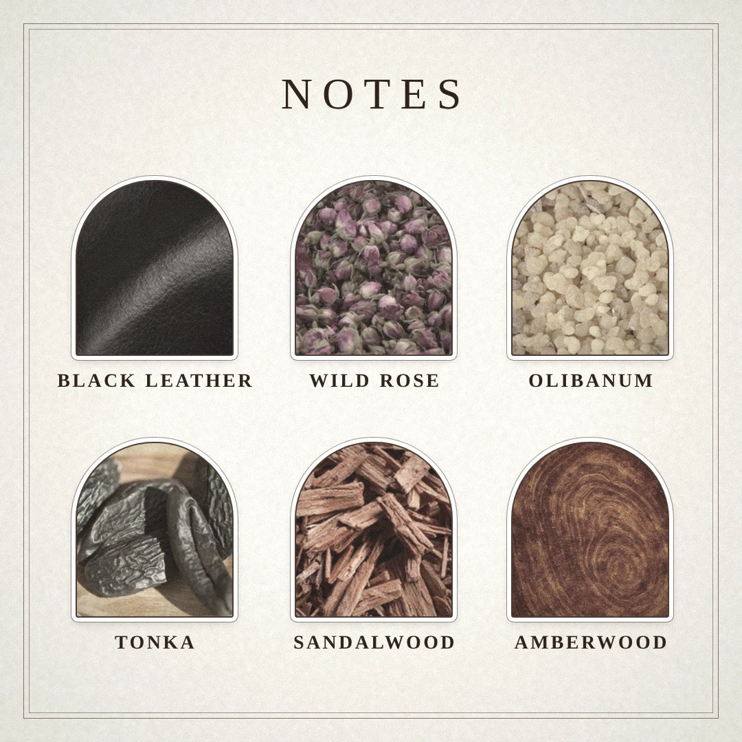 Belladonna scent notes