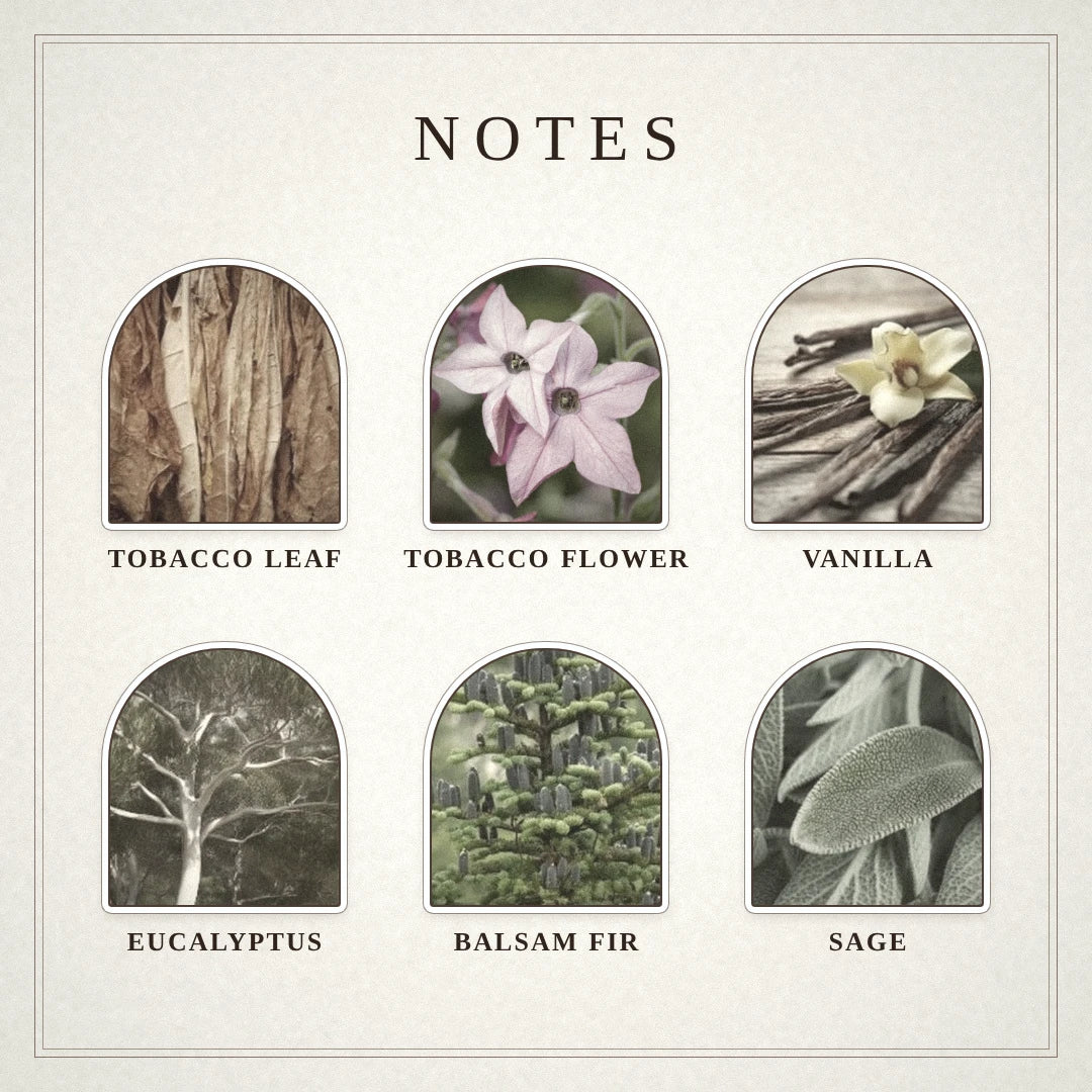 Gothic Fiction scent notes