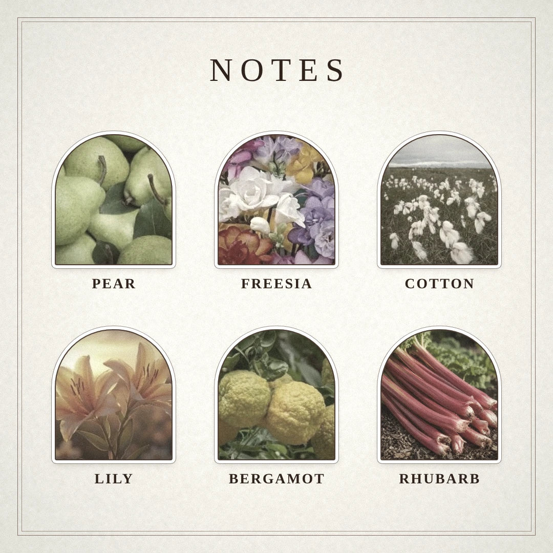 Meadow Verse scent notes