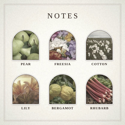 Meadow Verse scent notes