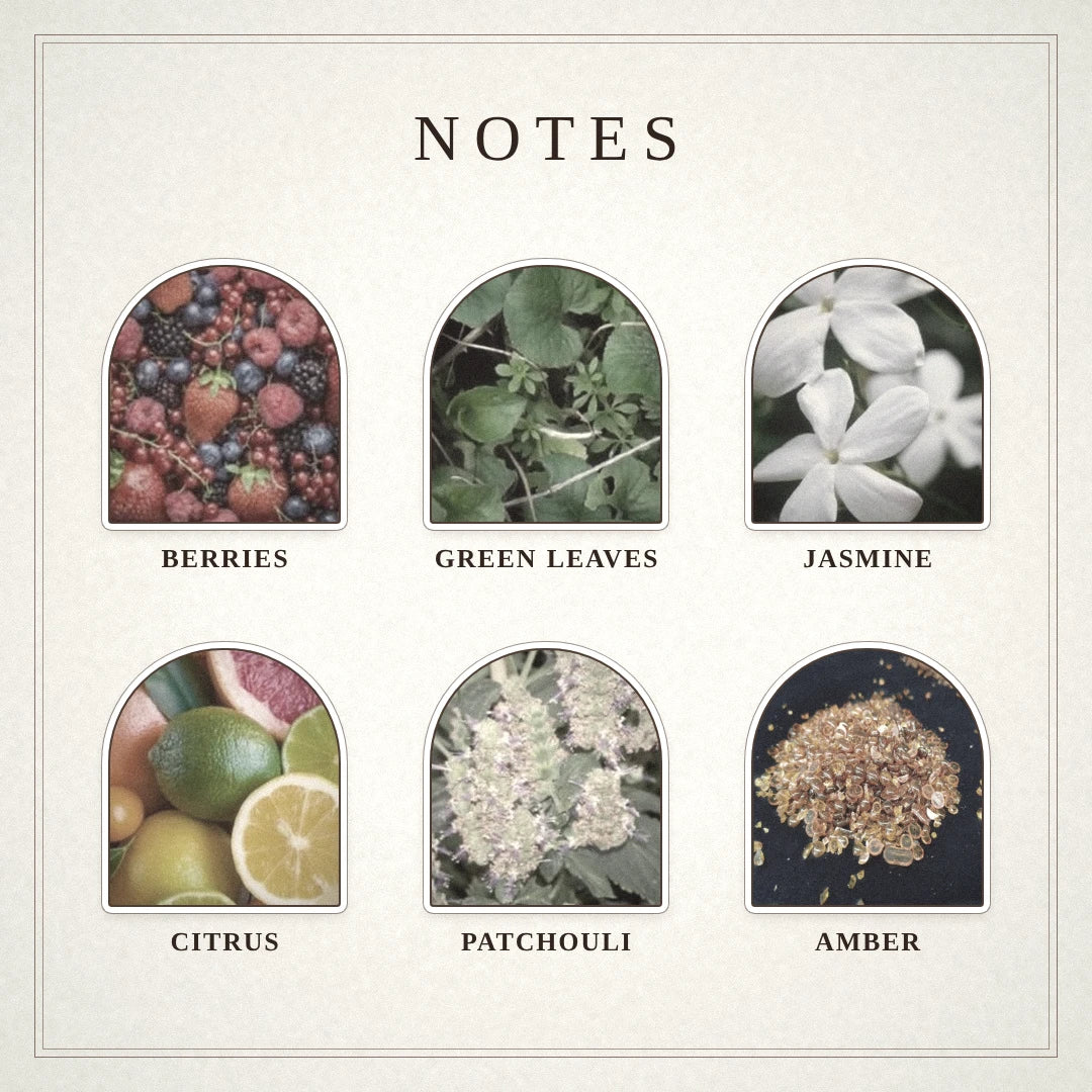 Witchwood Tales scent notes