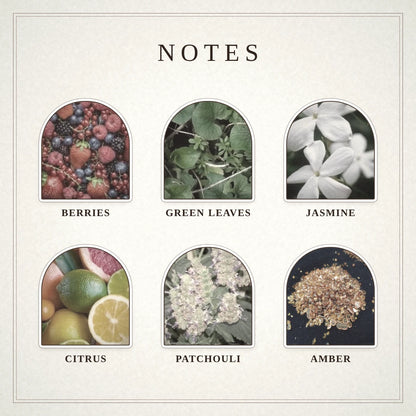 Witchwood Tales scent notes